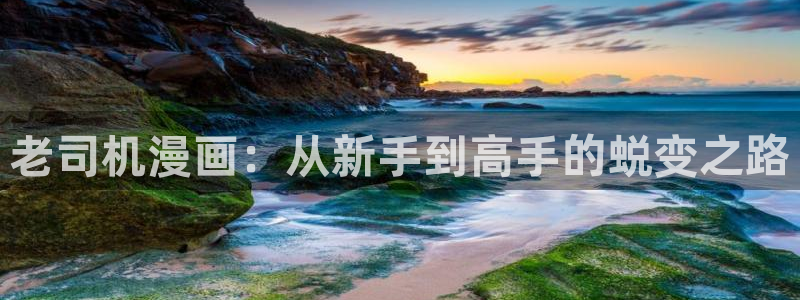 奇漫屋漫画下拉式奇漫屋app下载：老司机漫画：从新手到高手的蜕变之路